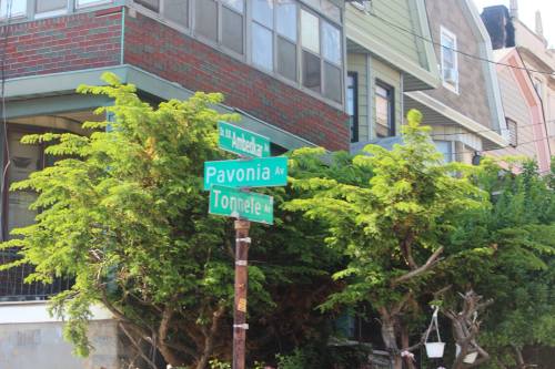 11330924_10153322694274464_1818137630_o